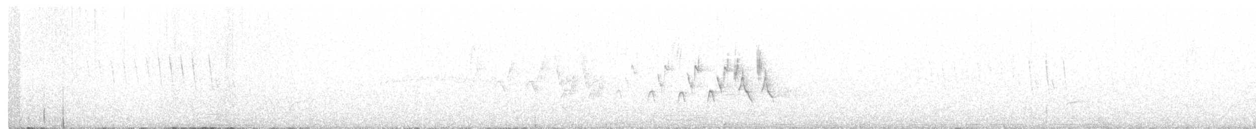 MacGillivray's Warbler - ML343909701