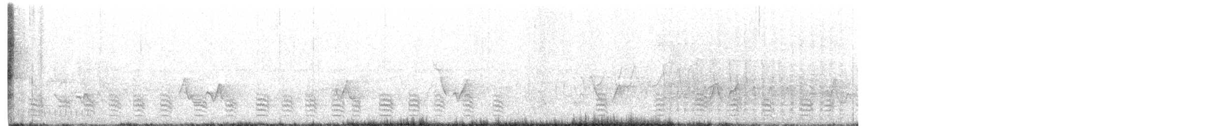 Weißbrustkleiber (carolinensis) - ML343922821