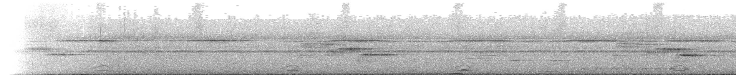 Lattice-tailed Trogon - ML343946481