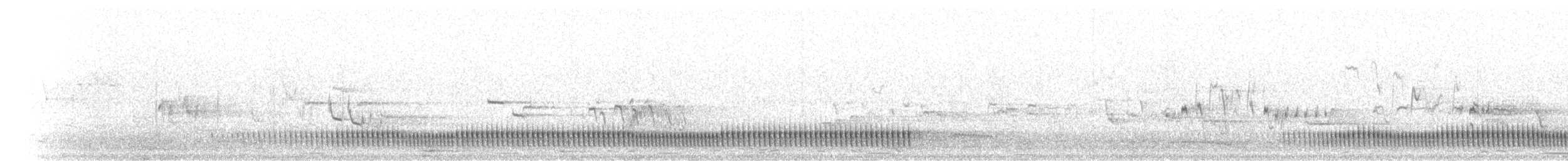 Eurasian Nightjar - ML344037261