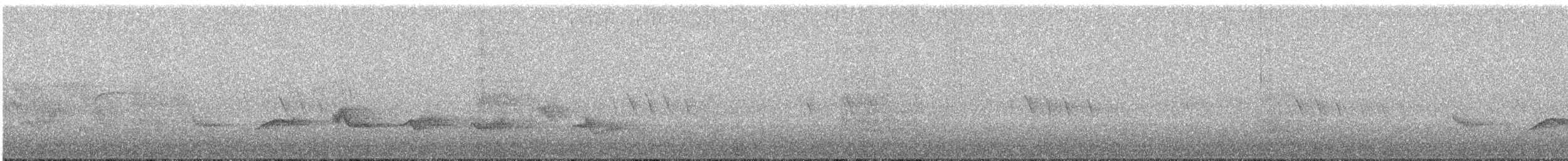 Чернокрылая пиранга - ML344046491