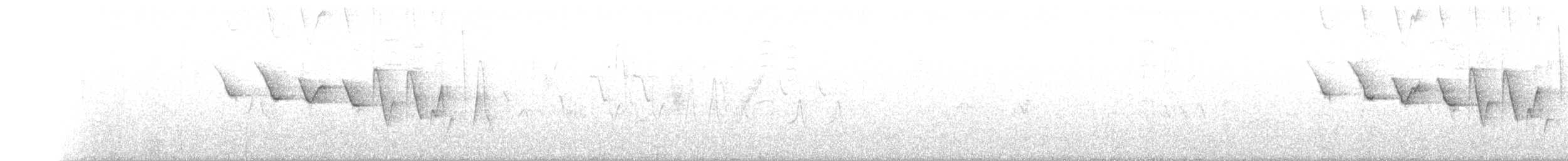 Трясогузковый певун - ML344133311