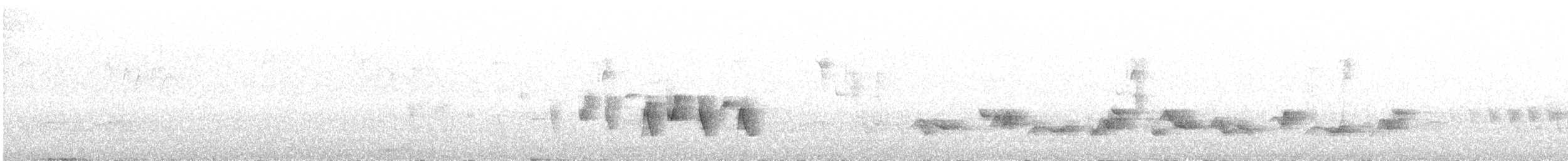 Connecticut Warbler - ML344144361