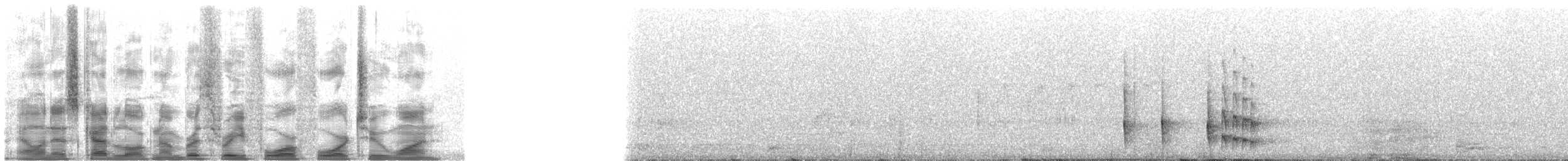 Todirostre roussâtre - ML34421