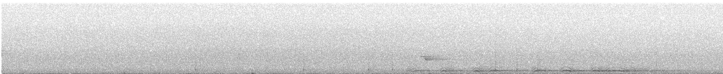 Chouette rayée - ML344288501
