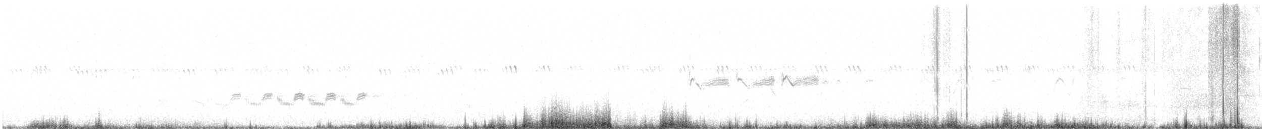Troglodyte des rochers - ML344350151