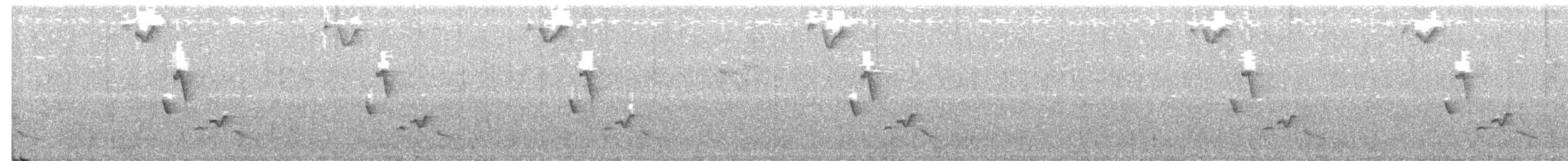 Gri Göğüslü Çıtkuşu - ML344376241