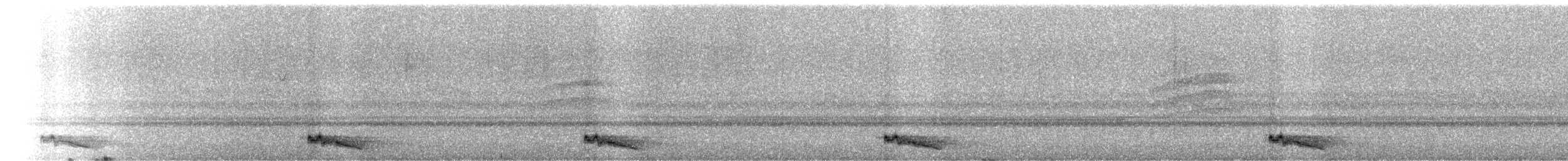 Ohrennachtschwalbe - ML344404451