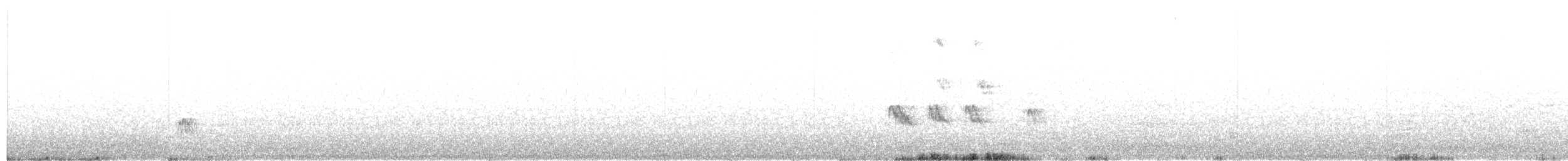 Élénie à cimier blanc - ML344442131