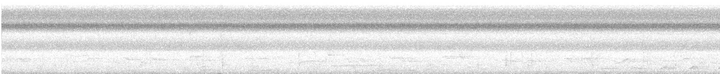 Thicket Tinamou - ML344461371