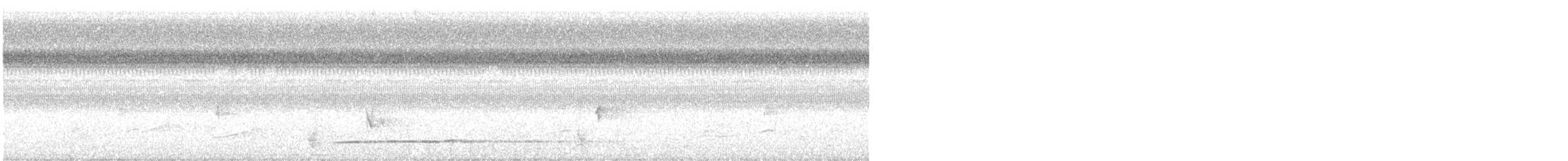 Thicket Tinamou - ML344461591