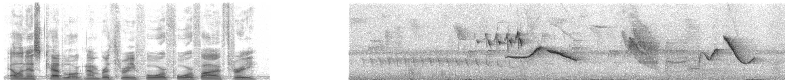 Tepui Vireo - ML34453