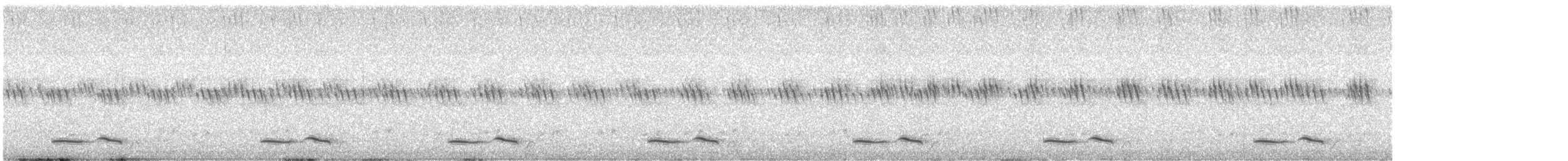 Chotacabras Pachacua - ML344577861