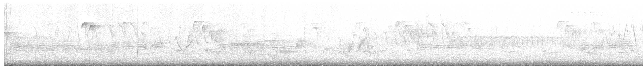 Alder Flycatcher - ML344606101