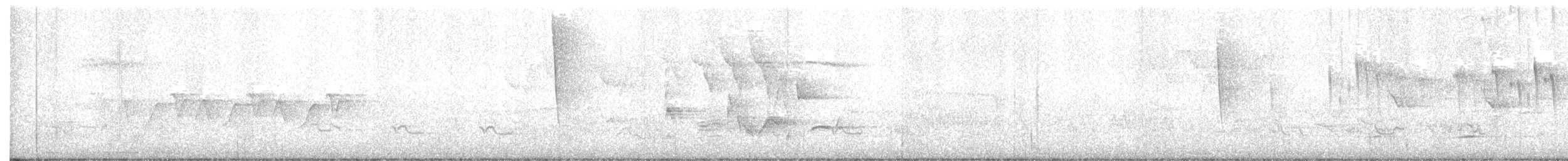 White-eyed Vireo - ML344606201