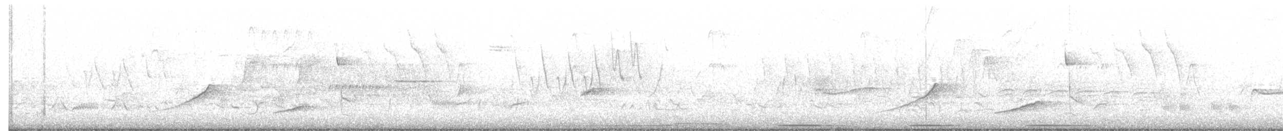 Yellow-breasted Chat - ML344606331