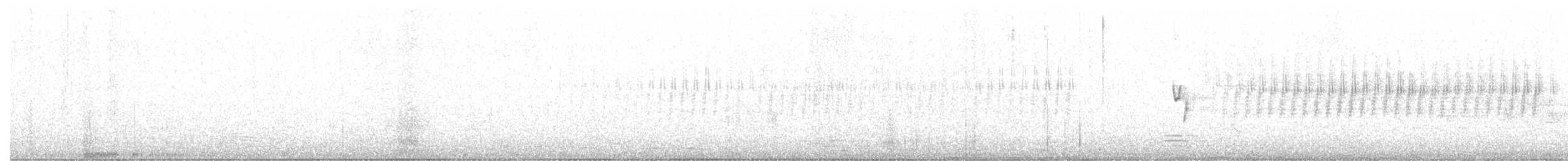 ネズミメジロハエトリ - ML344621041