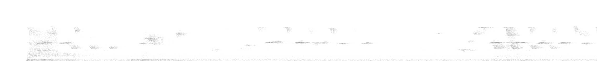 Гаїчка каролінська/світлокрила - ML344639901