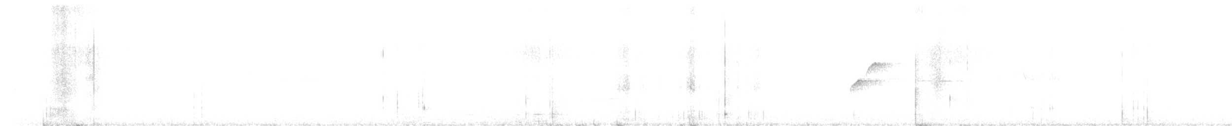 Batı Amerika Sinekkapanı (occidentalis/hellmayri) - ML344697561