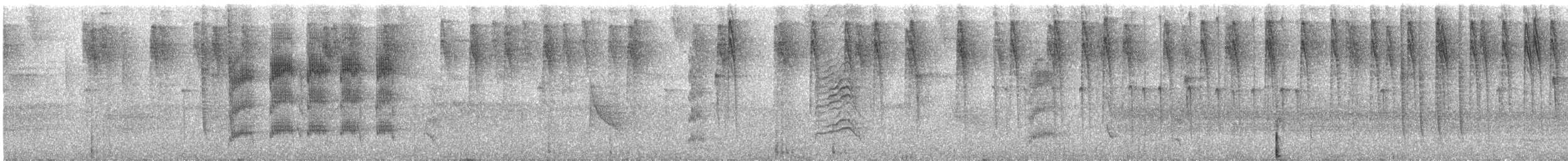 Urichkleintyrann - ML344723971