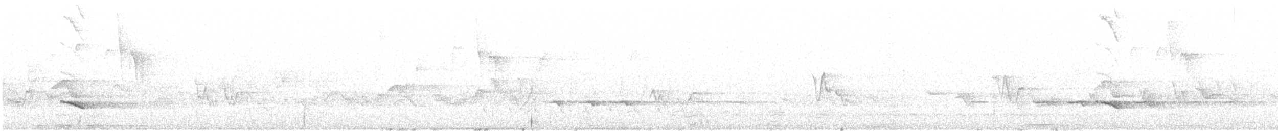 lundtrupial - ML344724131
