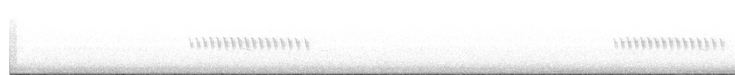 Юнко сірий [група oreganus] - ML344733301