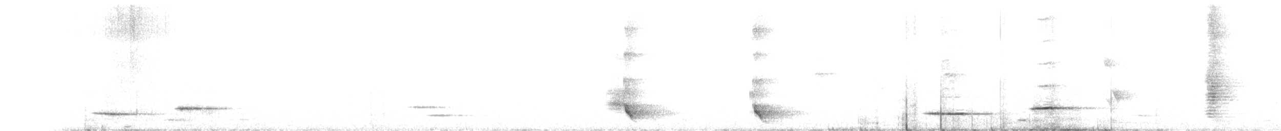 Méliphage carillonneur - ML344760331