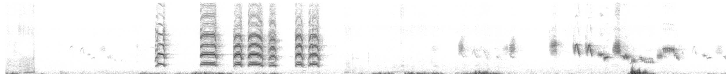 halsbåndfrankolin - ML344837191