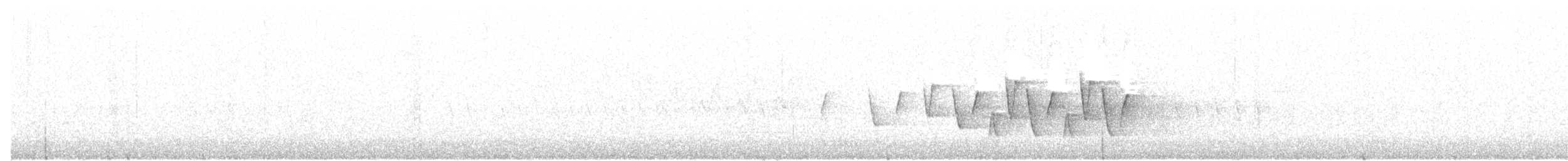 Очковая хвойница - ML344853271