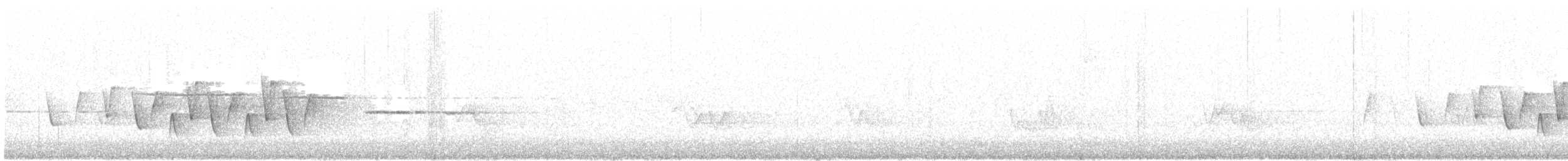 Очковая хвойница - ML344853281