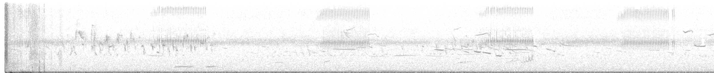 Степной тетерев - ML344856271