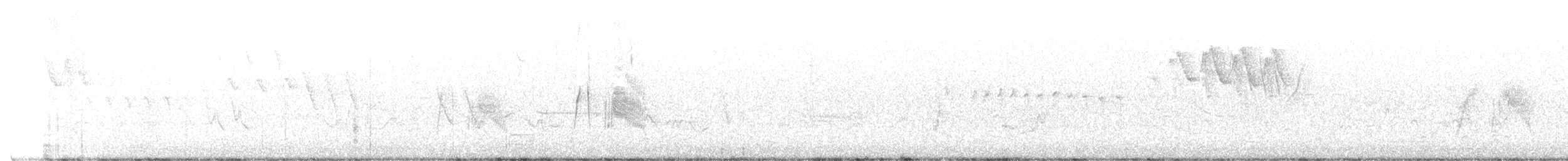 tyranovec vrbový - ML344873891
