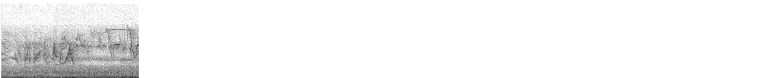 Bell's Vireo - ML344963161