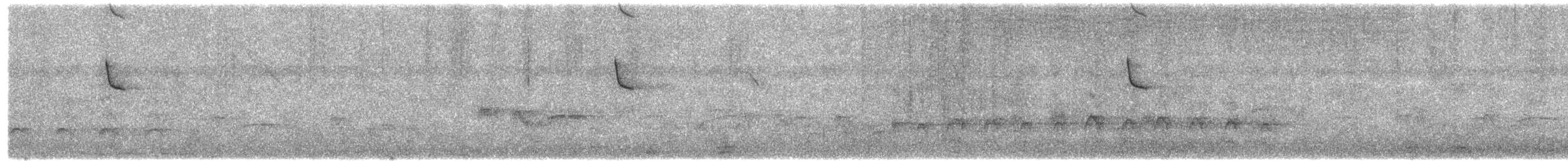 Colibri d'Angèle - ML344989301