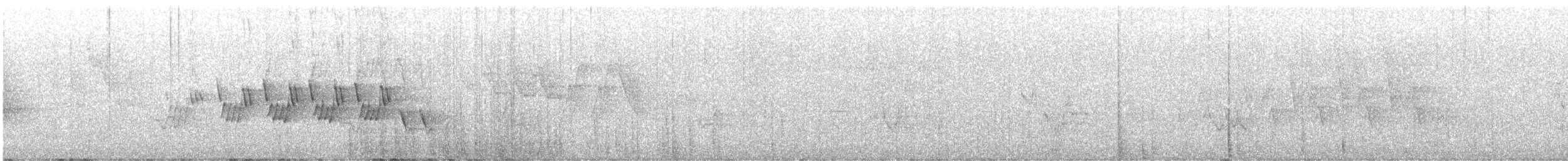 Черногорлая хвойница - ML345010041