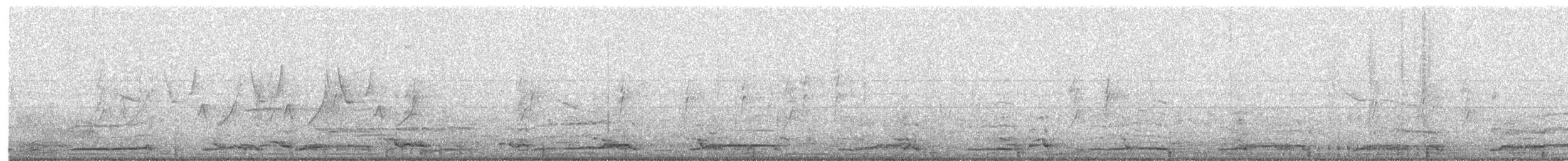 Cormoran à aigrettes - ML345034761