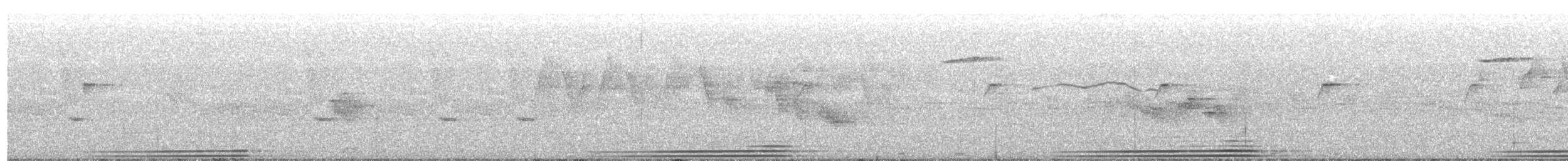 Трагопан сірогрудий - ML345040301
