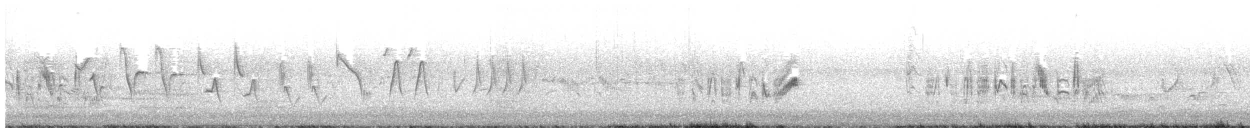 Bell's Vireo - ML345055081