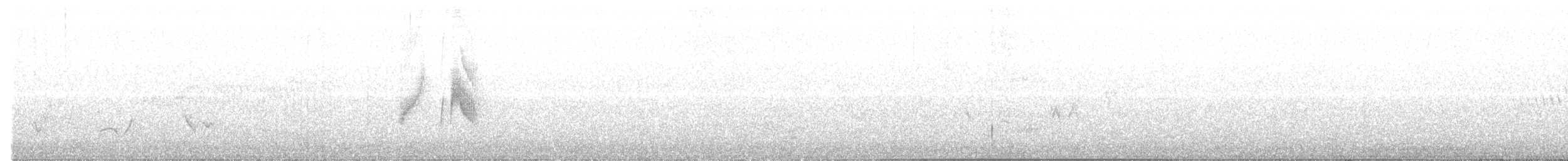 Ивовый мухолов - ML345130371