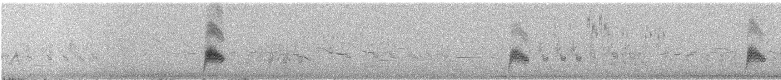 Виргинский сумеречник - ML345135121