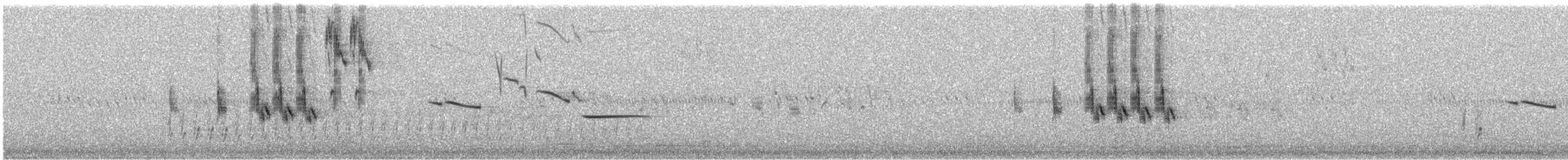 Большой луговой трупиал - ML345135291