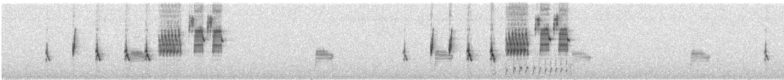 Овсянковый кардинальчик - ML345139931