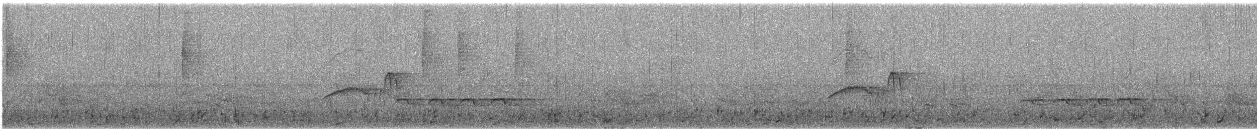 Светлобрюхий фиби - ML345141211