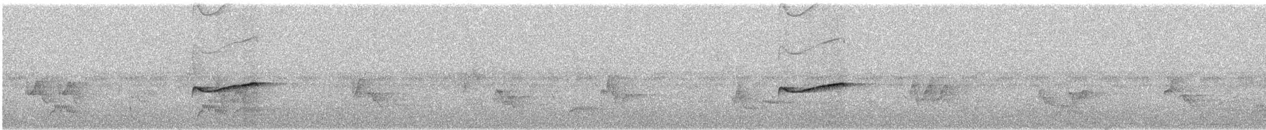 Восточный пиви - ML345141231