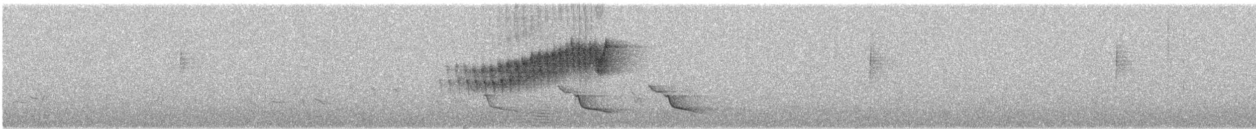 Очковая древесница - ML345141371