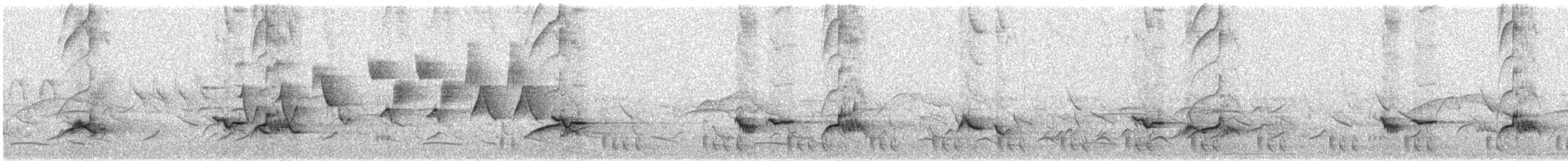 Алая пиранга - ML345141501