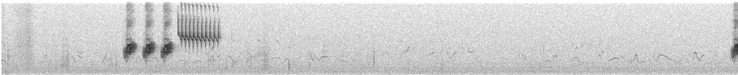 Тауї плямистий - ML345173421