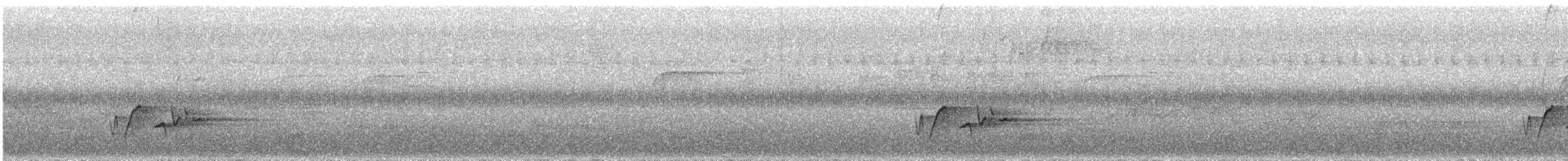 Troglodyte à poitrine grise - ML345239051