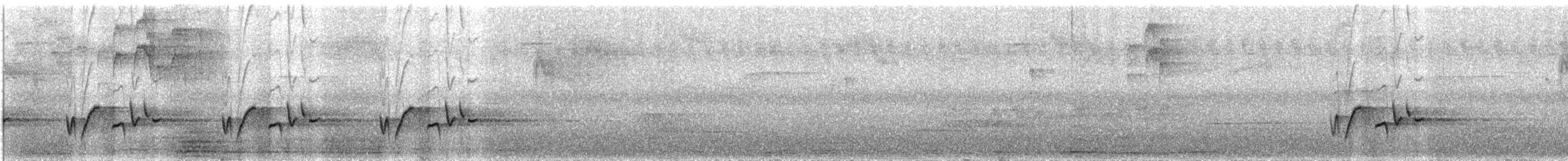 Troglodyte à poitrine grise - ML345239111