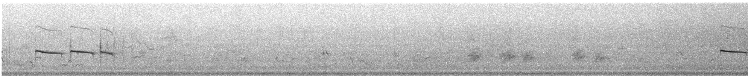 Northern Beardless-Tyrannulet - ML345271891